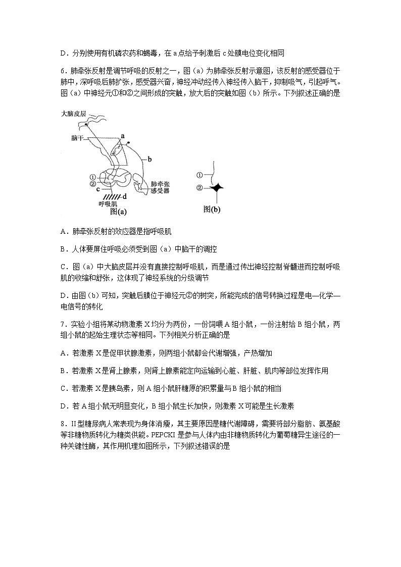 山东省临沂市兰陵县2021-2022学年高二上学期期中考试生物试题含答案03