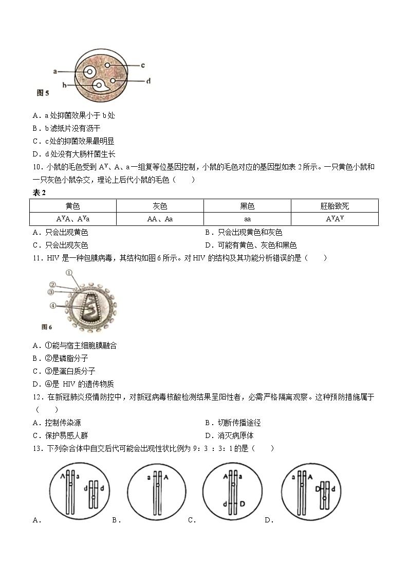 生物 2022届上海市虹口区高三(高二)一模生物试题第3页