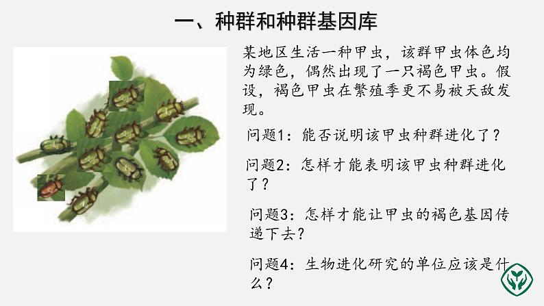第6章第3节 种群基因组成的变化与物种的形成(第1课时) 课件PPT第3页