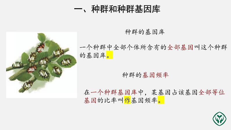 第6章第3节 种群基因组成的变化与物种的形成(第1课时) 课件PPT第6页