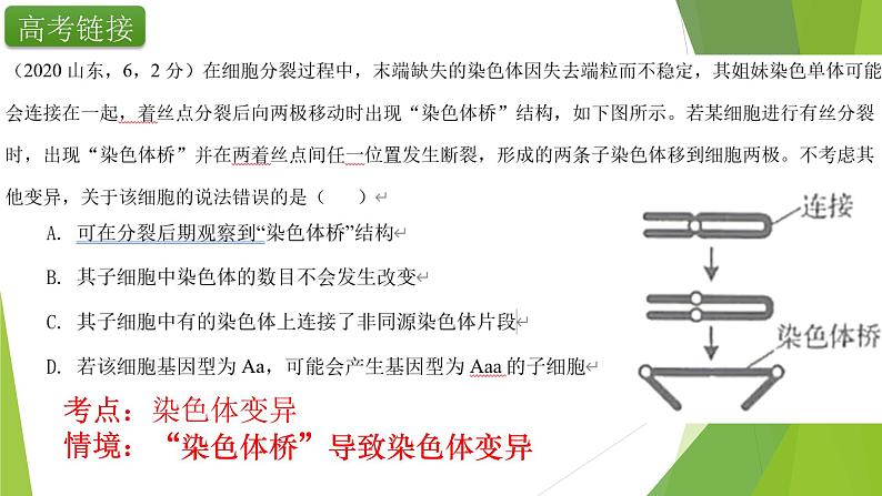 专题9 染色体变异与育种-备战2022年高考生物复习专题精品课件第3页