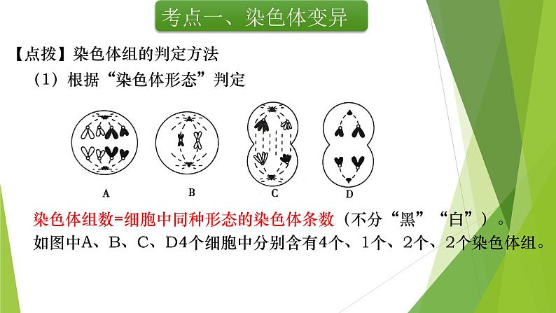 专题9 染色体变异与育种-备战2022年高考生物复习专题精品课件第6页