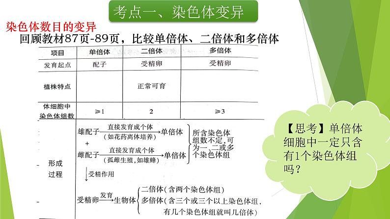 专题9 染色体变异与育种-备战2022年高考生物复习专题精品课件第8页