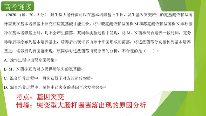 专题8 基因突变与基因重组-备战2022年高考生物复习专题精品课件03