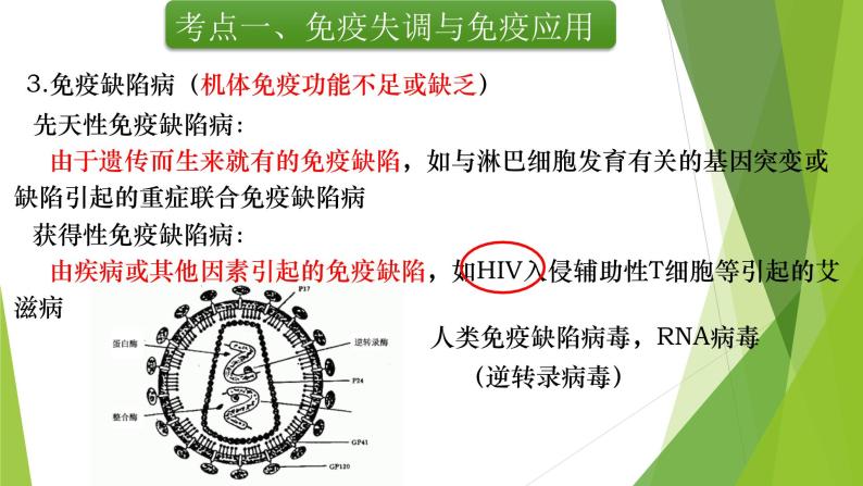 专题14 免疫调节(第二课时)-备战2022年高考生物复习专题精品课件05