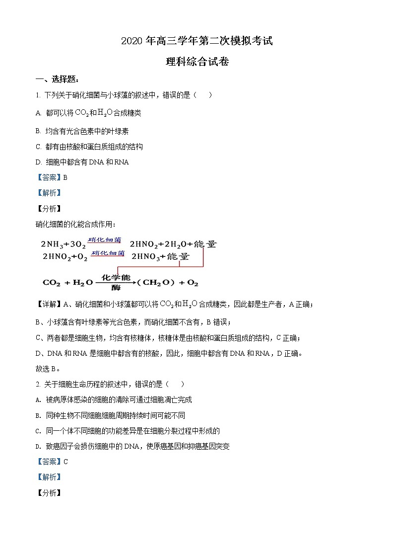 2020届黑龙江省哈尔滨市高三第二次模拟理综生物试题01
