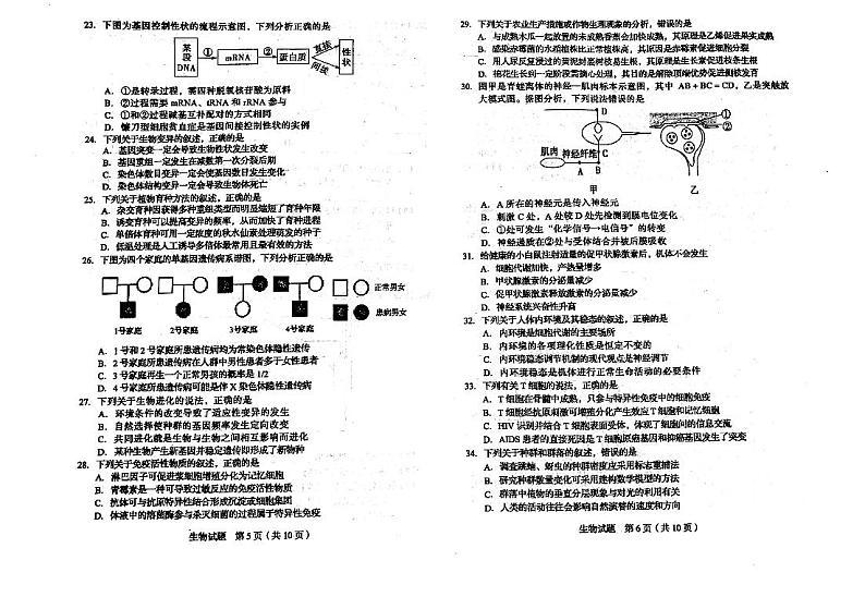 吉林省长春市普通高中2020届高三质量监测(一)生物试卷含答案第3页