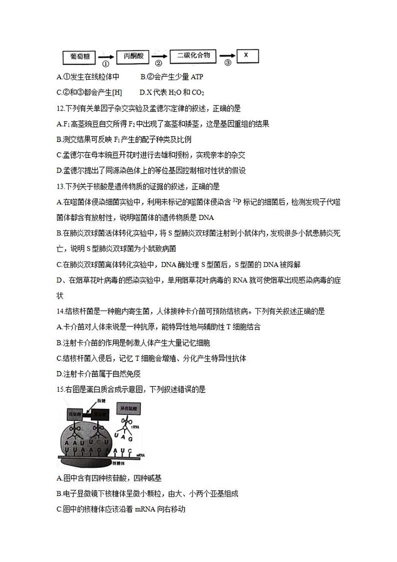 浙江省宁波市2020届高三适应性考试(二模)生物试题含答案第3页