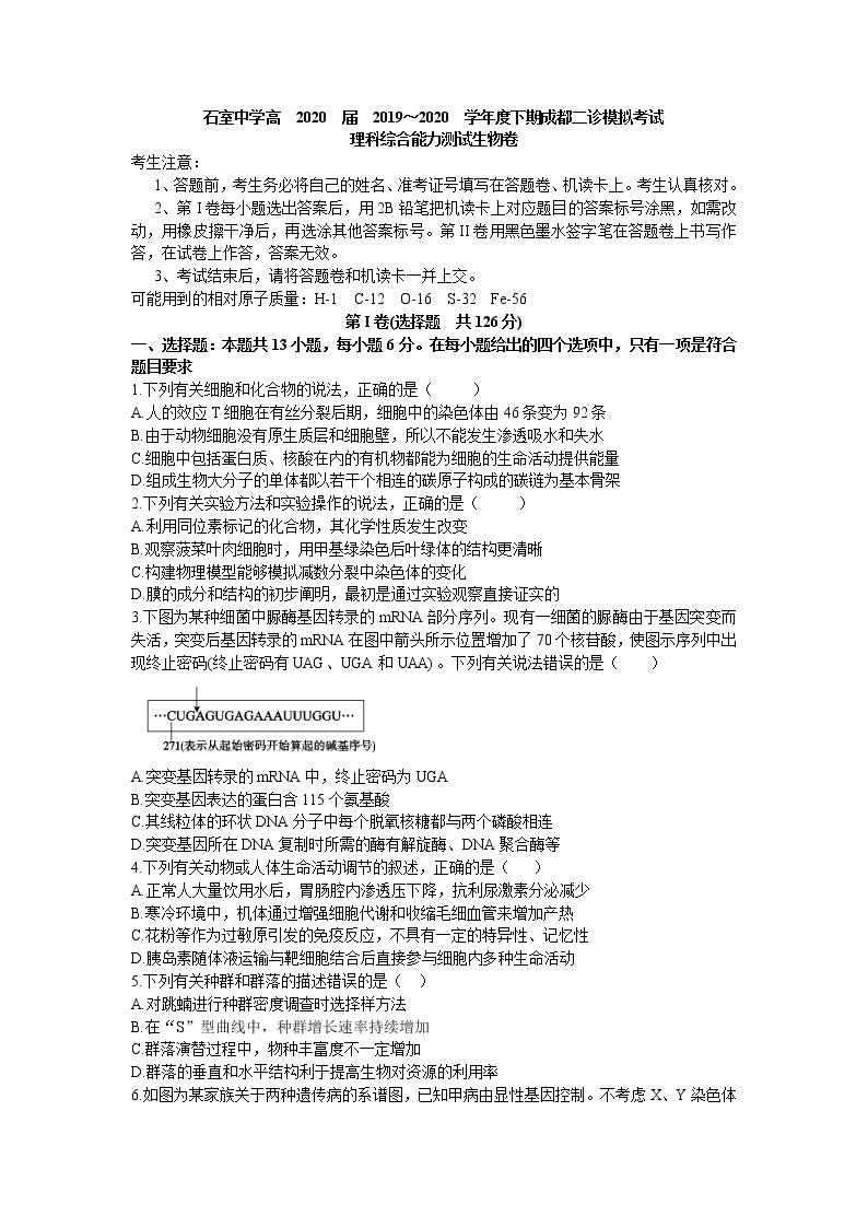 四川省成都市石室中学2020届高三下学期二诊模拟考试生物试题 Word版含答案01