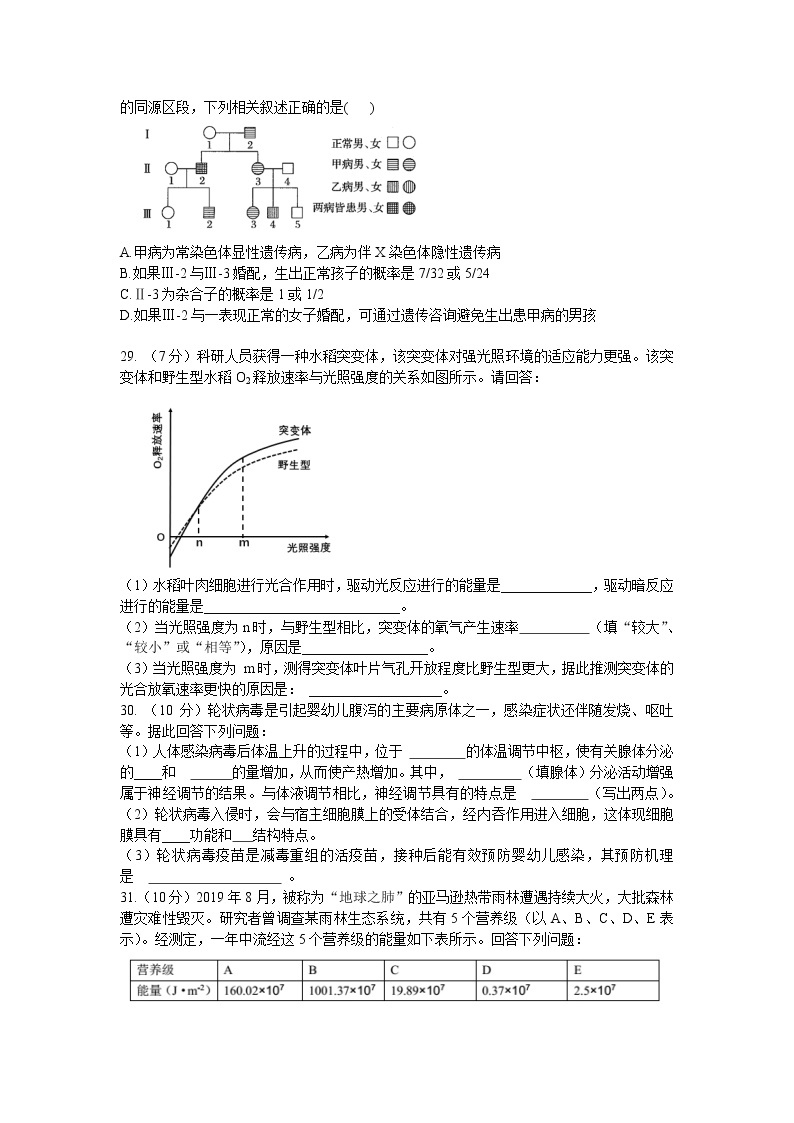 四川省成都市石室中学2020届高三下学期二诊模拟考试生物试题 Word版含答案02