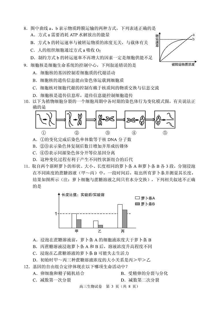 高三生物试题 第3页