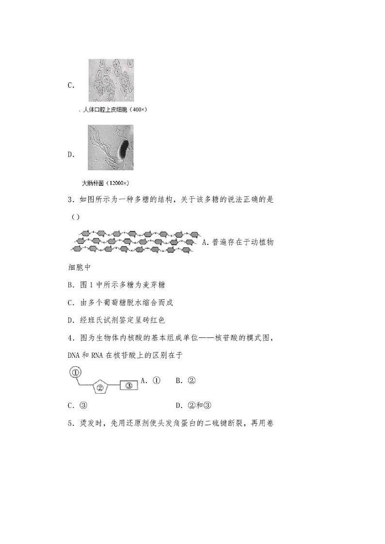2021年上海市松江区高三二模生物试卷及答案02