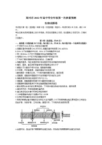 河南省郑州市2022届高三上学期第一次质量预测（一模）（1月）生物含答案