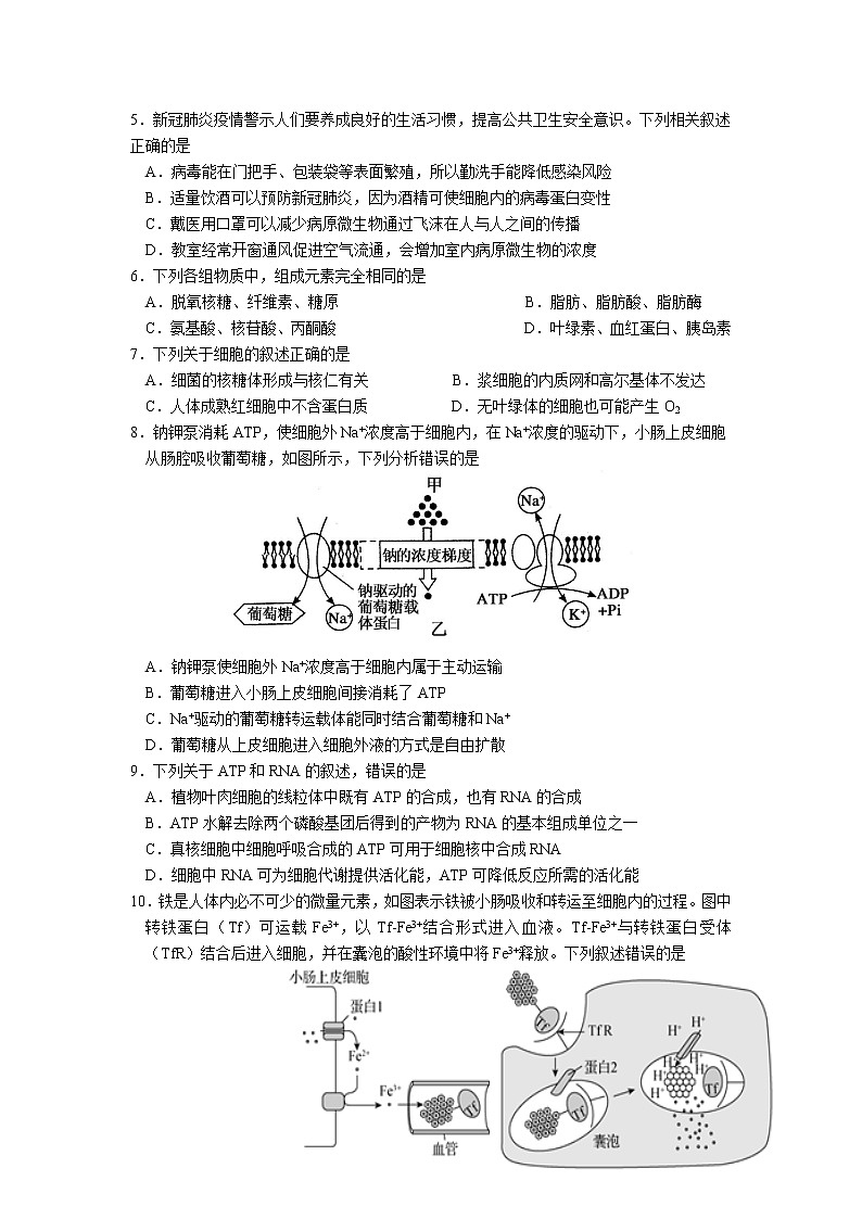 重庆市育才中学2022届高三上学期高考适应性考试(二)生物试题含答案02