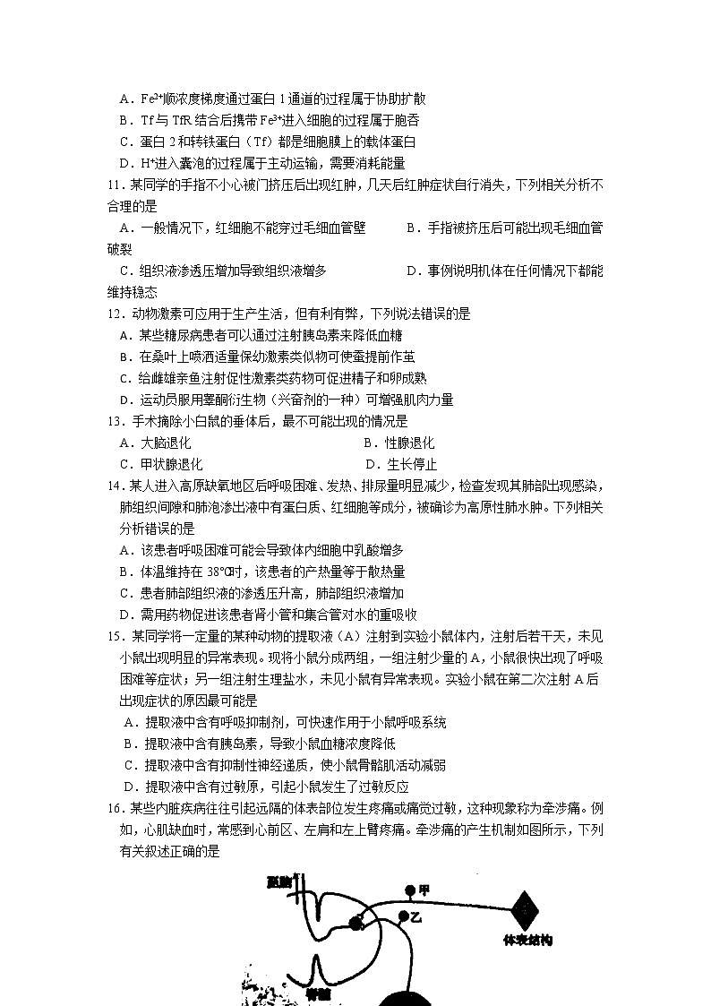 重庆市育才中学2022届高三上学期高考适应性考试(二)生物试题含答案03