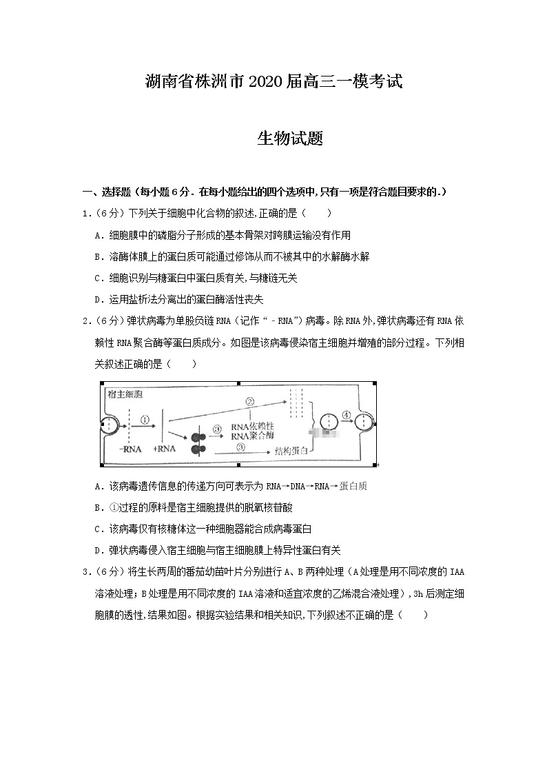 2020届湖南省株洲高三一模生物试卷（含答案解析）01