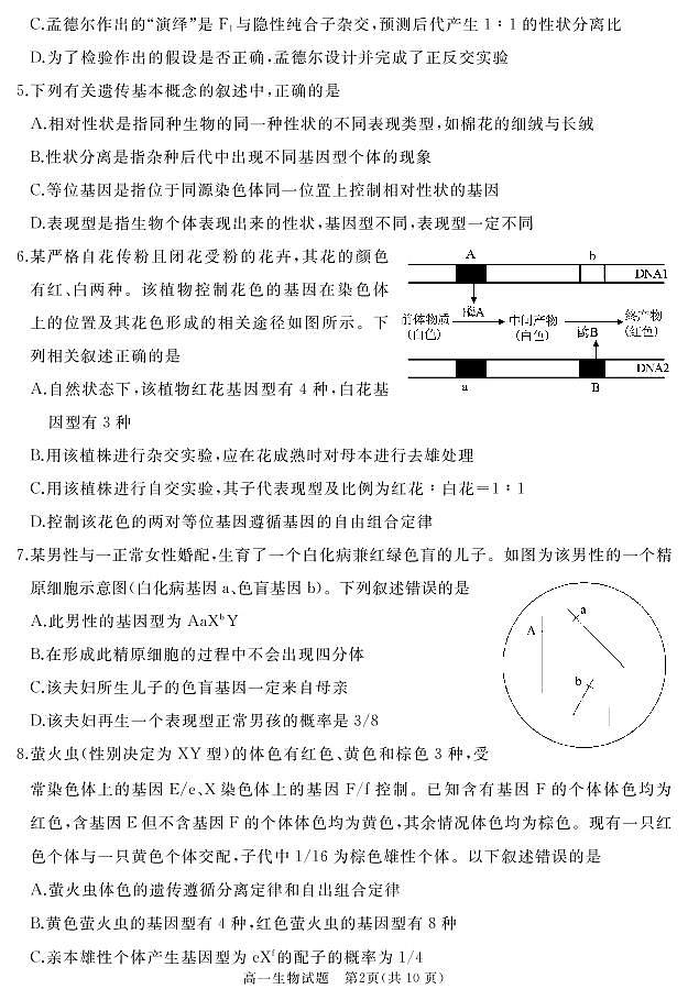 2020-2021学年山东省枣庄滕州市高一下学期期中质量检测生物试卷 PDF版02