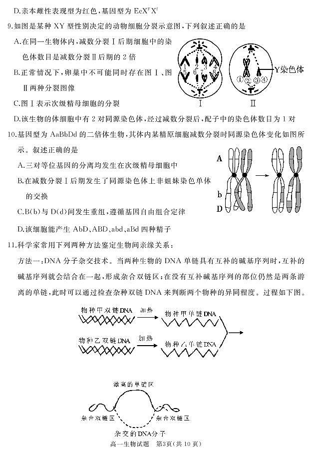 2020-2021学年山东省枣庄滕州市高一下学期期中质量检测生物试卷 PDF版03