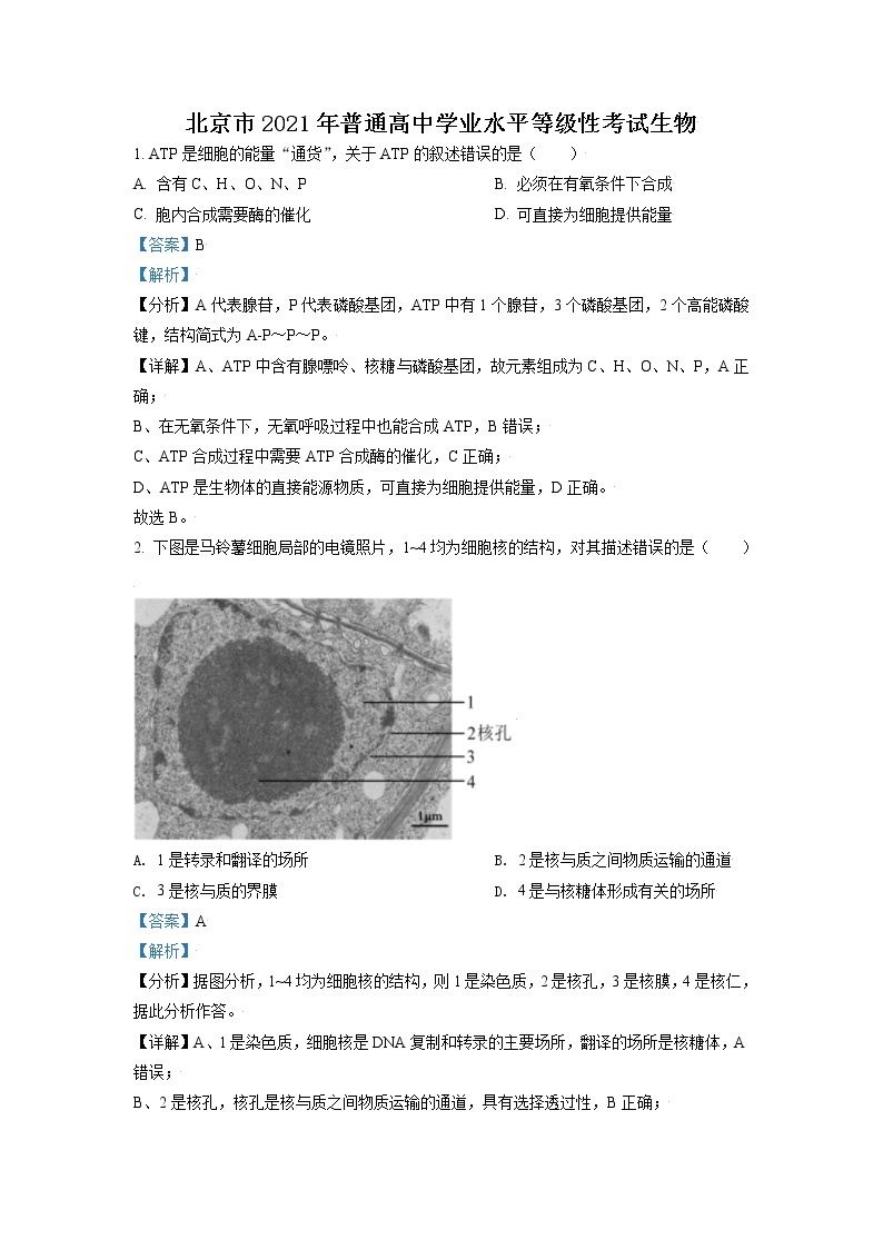 2021年新高考北京生物卷及答案解析（原卷+解析卷）01