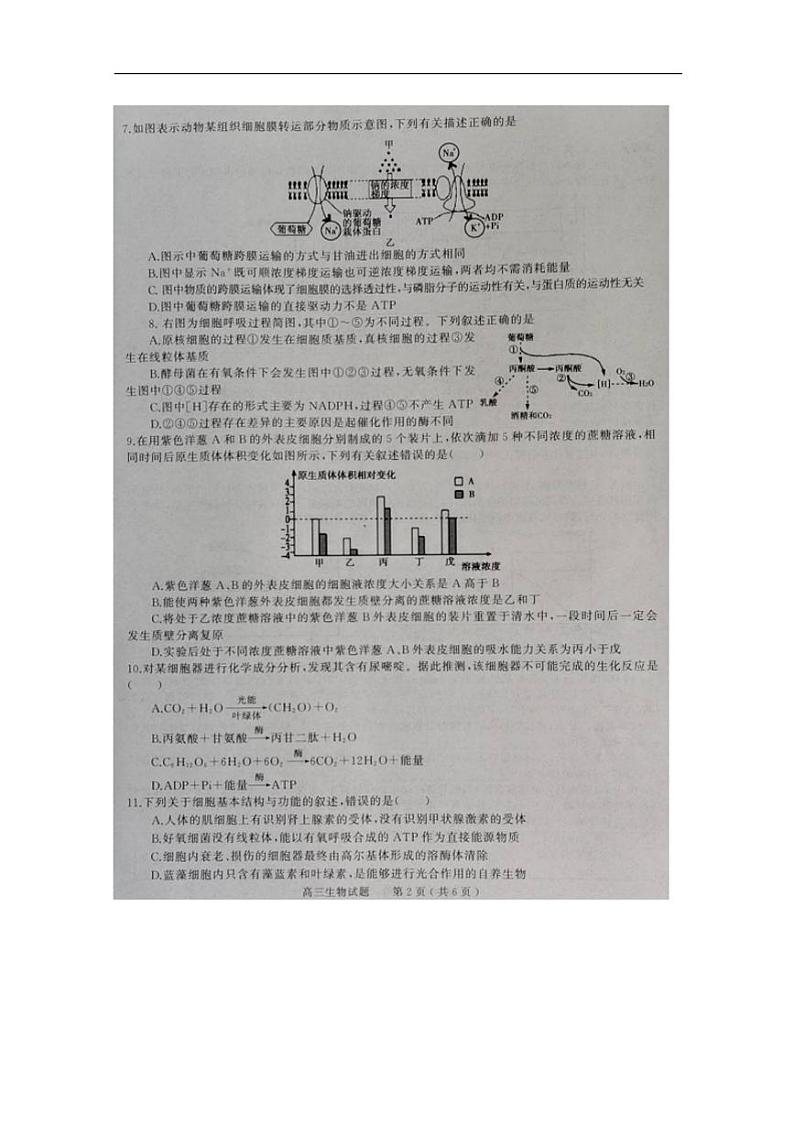 河南省信阳市普通高中2020届高三上学期第一次教学质量检测生物试题含答案第2页