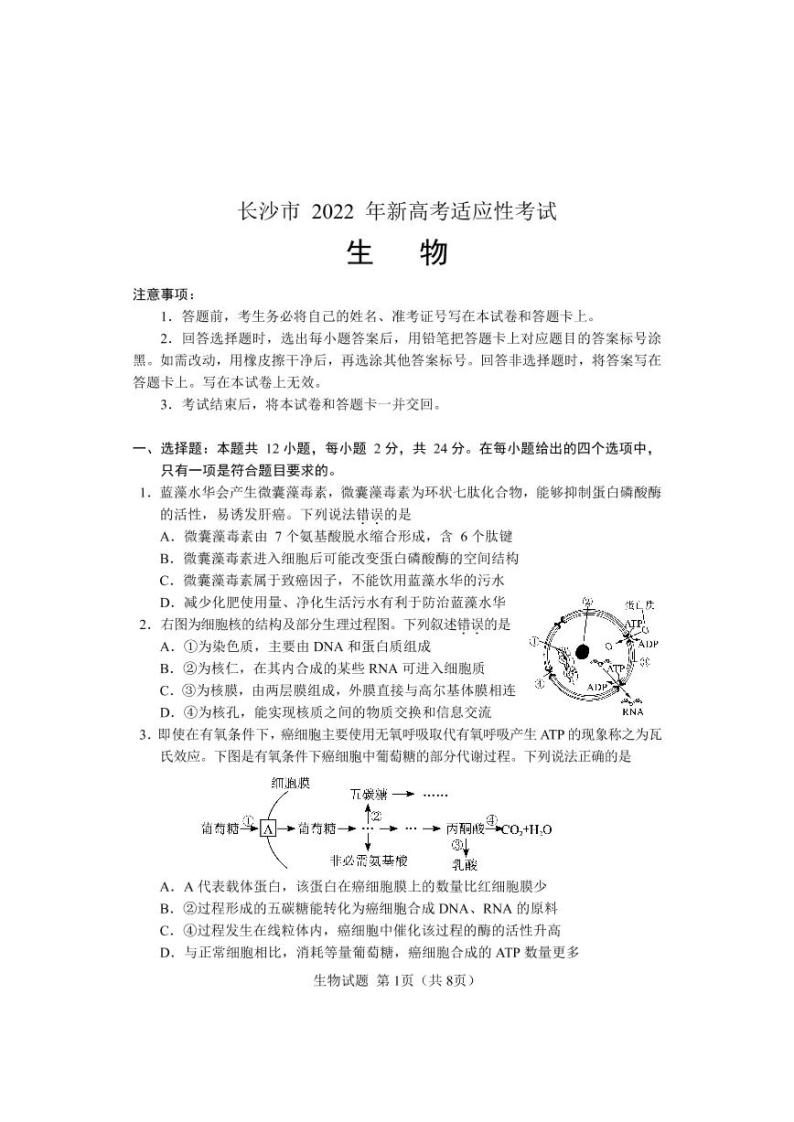 湖南省长沙市2021-2022学年高三新高考适应性考试生物试题含答案01