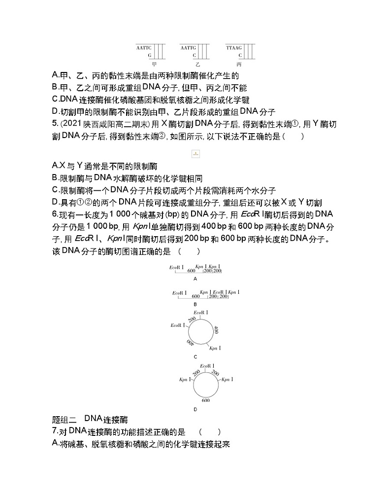 第1课时 重组DNA技术的基本工具-2022版生物选择性必修3人教版(2019) 同步练习 (Word含解析)02
