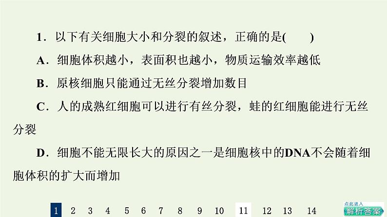 高考生物一轮复习课后集训12细胞的增殖课件第3页