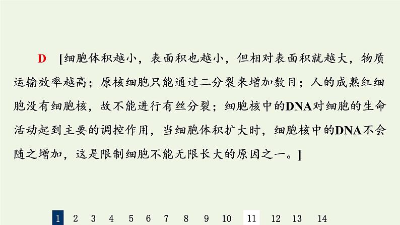 高考生物一轮复习课后集训12细胞的增殖课件第4页