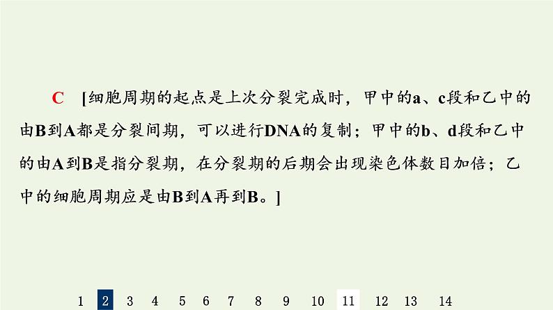 高考生物一轮复习课后集训12细胞的增殖课件第6页