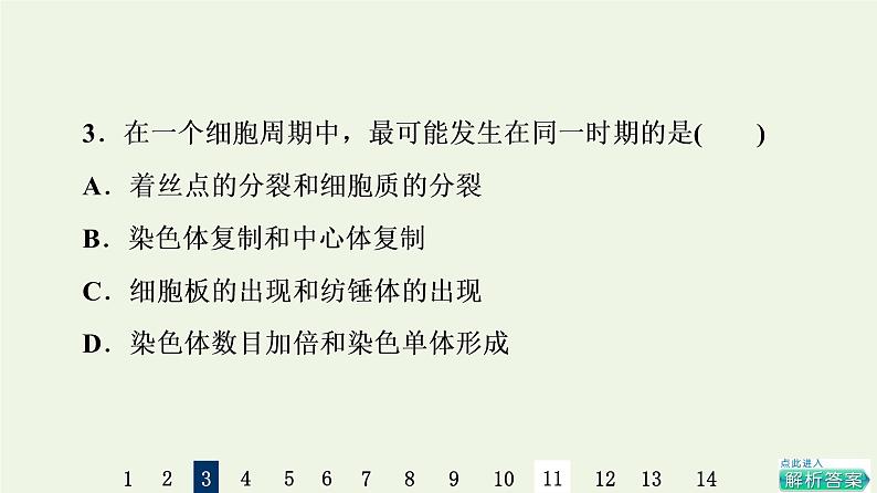 高考生物一轮复习课后集训12细胞的增殖课件第7页