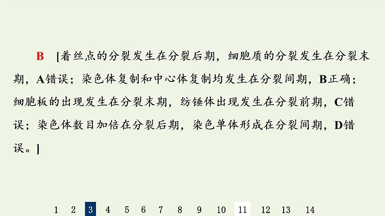 高考生物一轮复习课后集训12细胞的增殖课件第8页