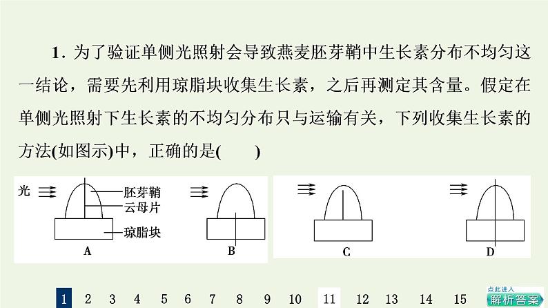 高考生物一轮复习课后集训29植物的激素调节课件第3页