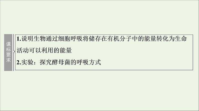 高考生物一轮复习第3单元细胞的能量供应和利用第2讲细胞呼吸课件第2页