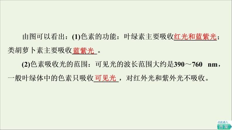 高考生物一轮复习第3单元细胞的能量供应和利用第3讲光合作用Ⅰ课件07