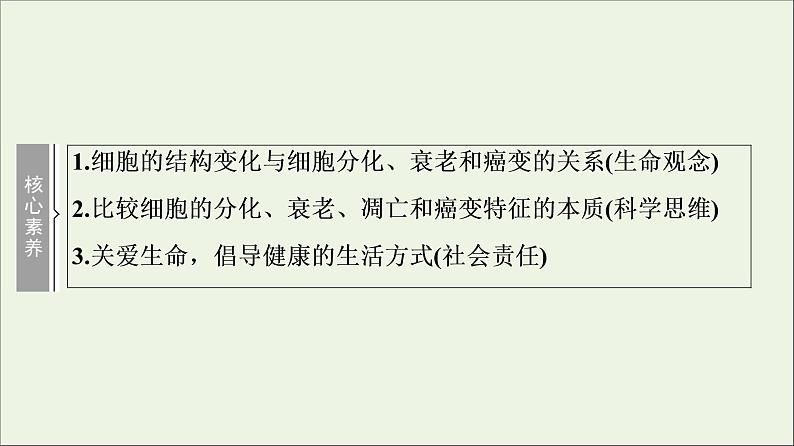 高考生物一轮复习第4单元细胞的生命历程第3讲细胞的分化衰老凋亡和癌变课件第3页
