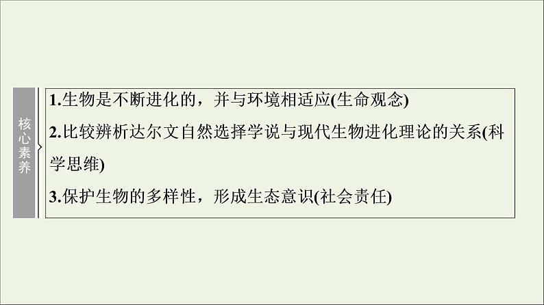 高考生物一轮复习第7单元生物的变异育种与进化第4讲现代生物进化理论课件第3页