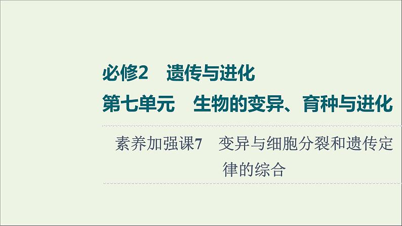 高考生物一轮复习第7单元生物的变异育种与进化素养加强课7变异与细胞分裂和遗传定律的综合课件01