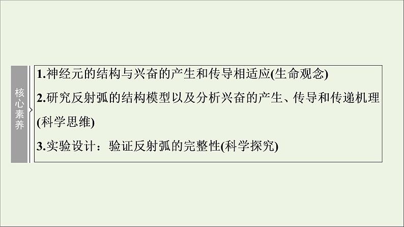高考生物一轮复习第8单元生命活动的调节第2讲通过神经系统的调节课件03