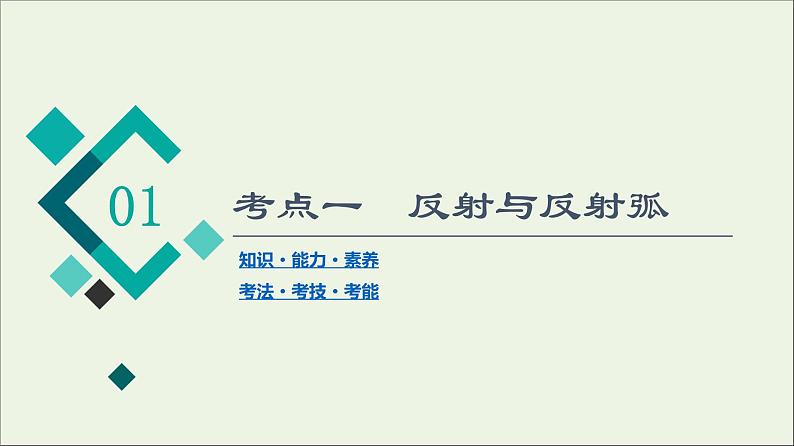 高考生物一轮复习第8单元生命活动的调节第2讲通过神经系统的调节课件04