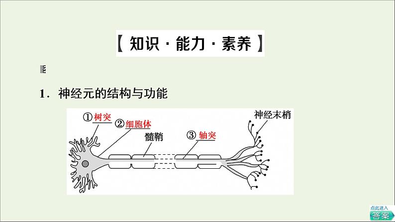 高考生物一轮复习第8单元生命活动的调节第2讲通过神经系统的调节课件05