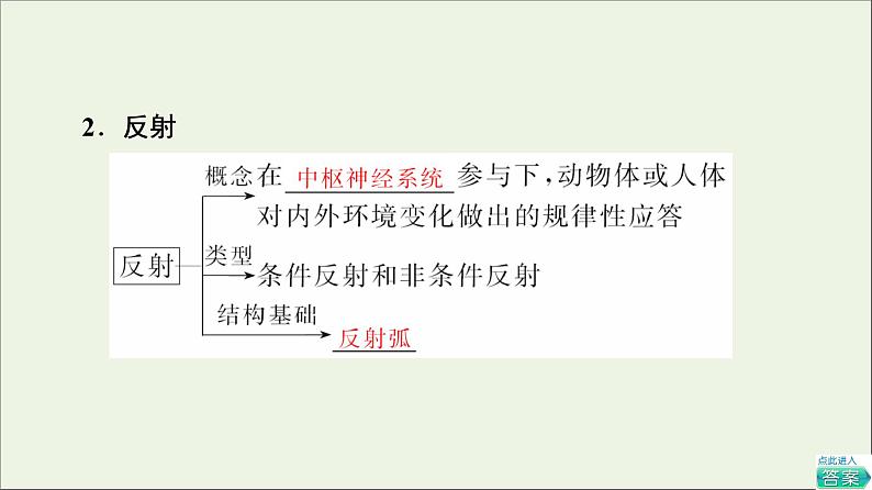 高考生物一轮复习第8单元生命活动的调节第2讲通过神经系统的调节课件07