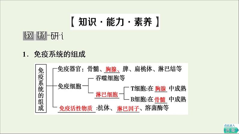 高考生物一轮复习第8单元生命活动的调节第4讲免疫调节课件第5页