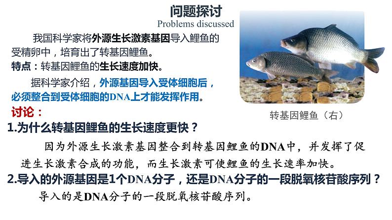 3.4 基因通常是有遗传效应的DNA片段 课件【新教材】2020-2021学年高一生物人教版(2019)必修二02