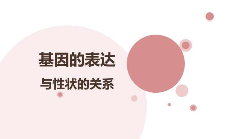 4.2 基因表达与性状的关系  课件【新教材】2020-2021学年高一生物人教版（2019）必修二01