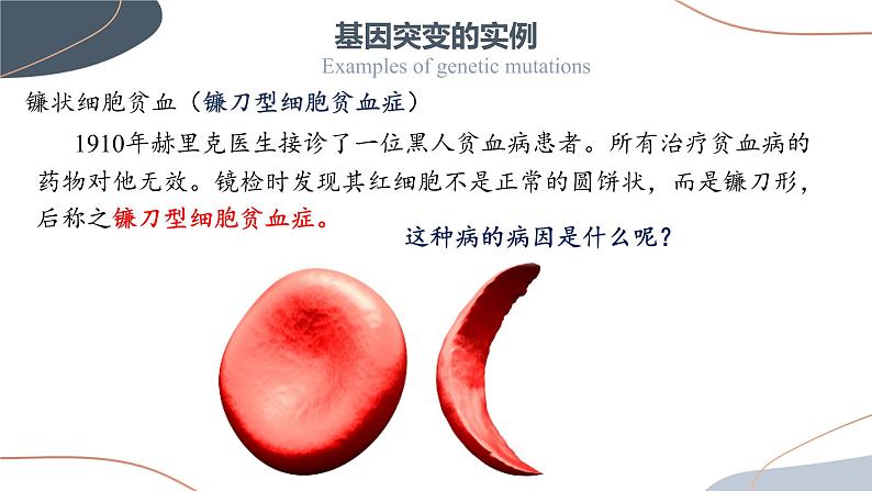 5.1 基因突变和基因重组 课件【新教材】2020-2021学年高一生物人教版(2019)必修二第4页