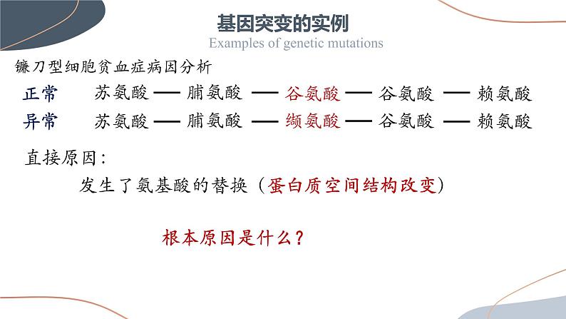 5.1 基因突变和基因重组 课件【新教材】2020-2021学年高一生物人教版(2019)必修二第6页