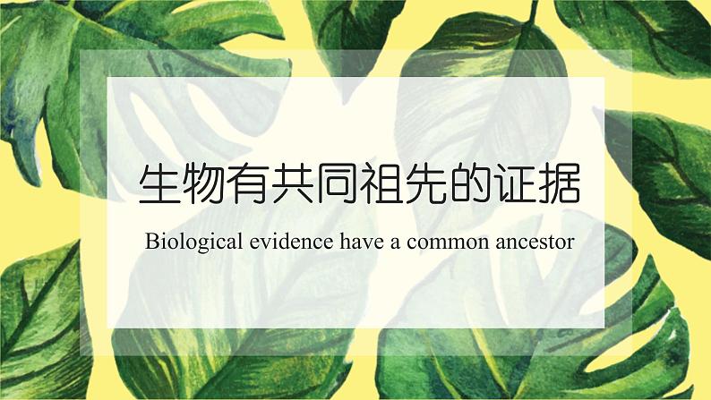 6.1 生物有共同祖先的证据 课件【新教材】2020-2021学年高一生物人教版(2019)必修二01
