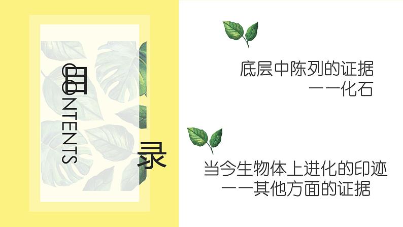 6.1 生物有共同祖先的证据 课件【新教材】2020-2021学年高一生物人教版(2019)必修二02