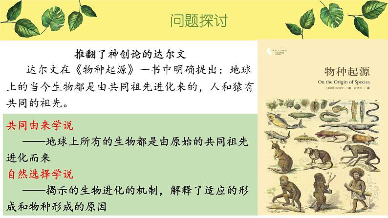 6.1 生物有共同祖先的证据 课件【新教材】2020-2021学年高一生物人教版(2019)必修二03