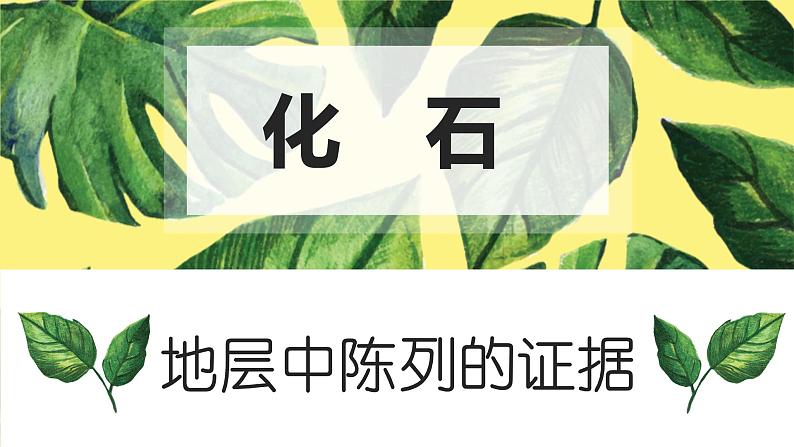 6.1 生物有共同祖先的证据 课件【新教材】2020-2021学年高一生物人教版(2019)必修二05